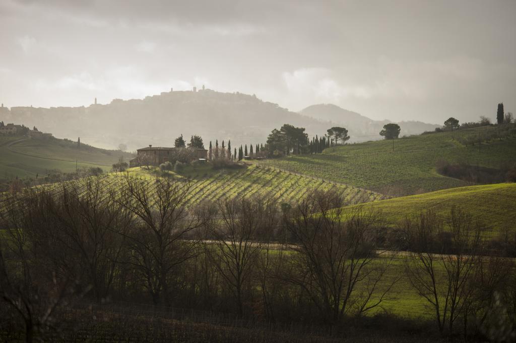 Follonico 4-Suite B&B Torrita di Siena Kültér fotó