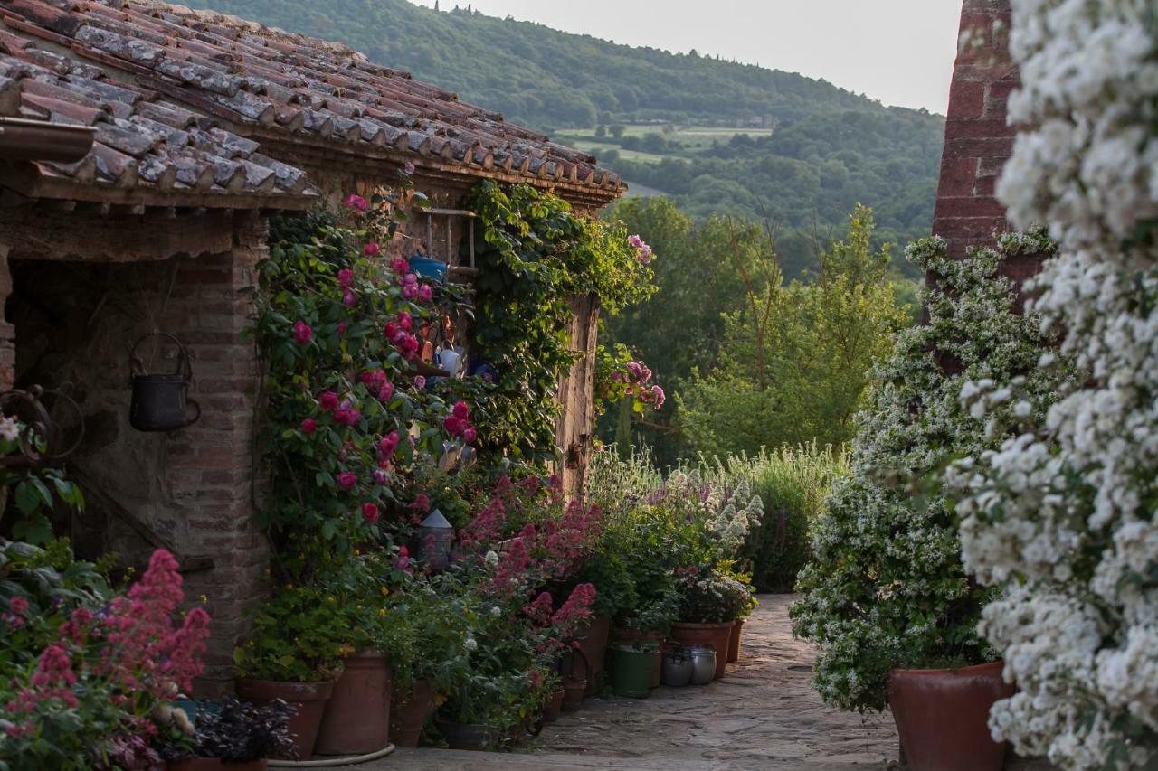 Follonico 4-Suite B&B Torrita di Siena Kültér fotó